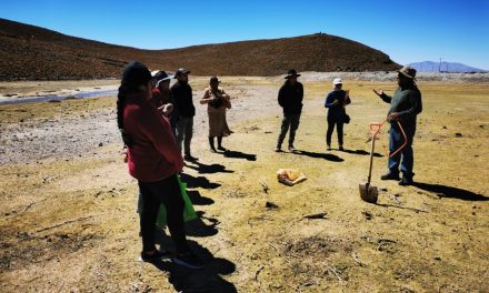 LA GANADERÍA CAMÉLIDA Y EL DESAFÍO DE LOS BOFEDALES