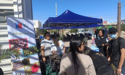 Día del Medio Ambiente: CONAF Tarapacá convocó a arborización comunitaria