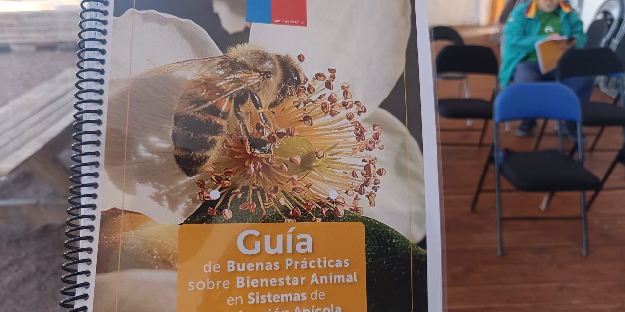 Entregan más de 300 plantas de romero y guía