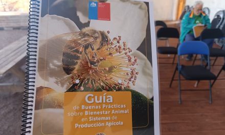 Entregan más de 300 plantas de romero y guía